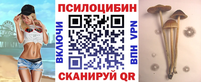 цена   Борисоглебск  Псилоцибиновые грибы ЛСД 