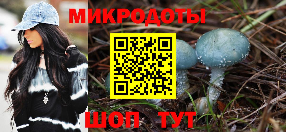 Псилоцибиновые грибы Psilocybe Борисоглебск