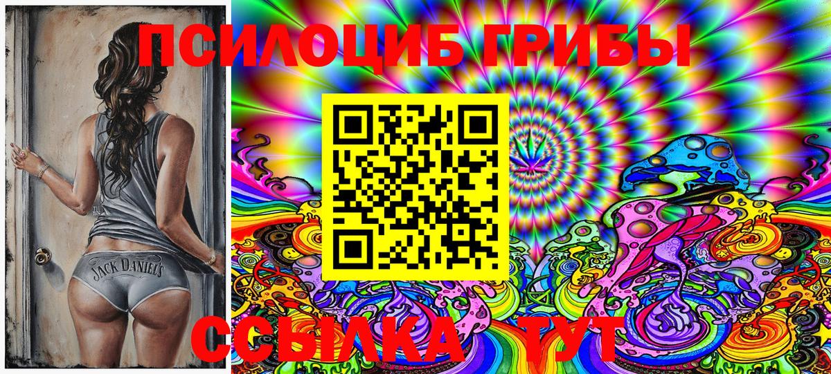 Псилоцибиновые грибы Magic Shrooms  Борисоглебск  Псилоцибиновые грибы Cubensis 