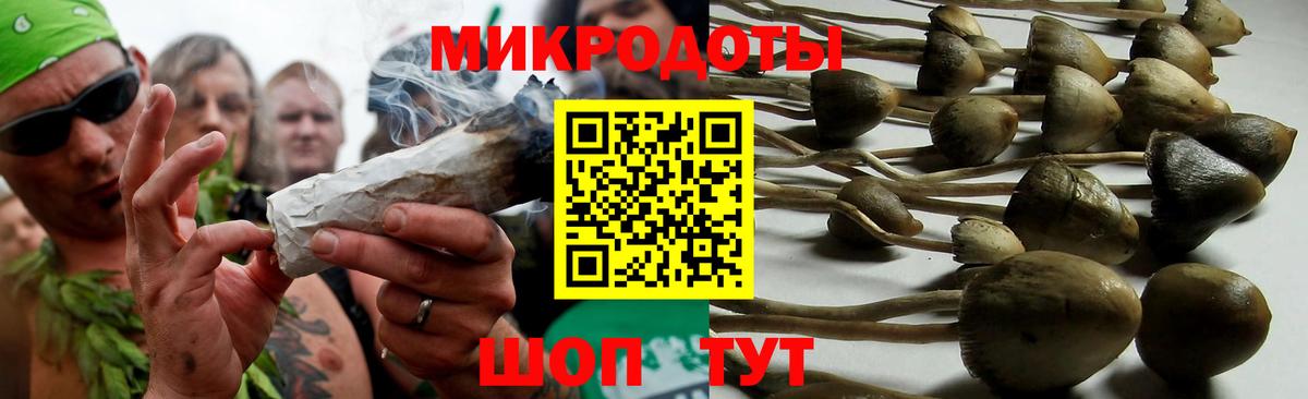 Галлюциногенные грибы прущие грибы  Вход с VPN  Галлюциногенные грибы Psilocybine cubensis  Борисоглебск 